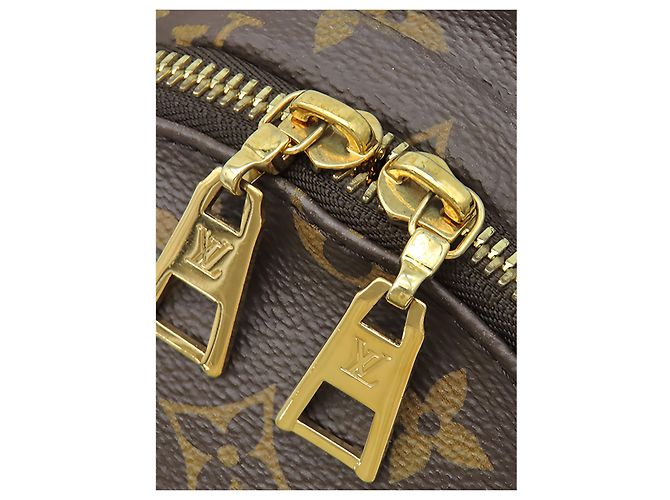 Louis Vuitton Brown Monogram Palm Springs PM - vista 10