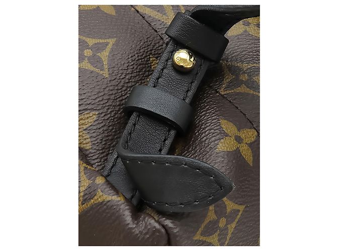 Louis Vuitton Brown Monogram Palm Springs PM - vista 11