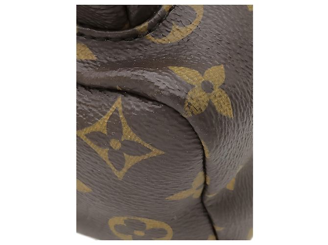 Louis Vuitton Brown Monogram Palm Springs PM - vista 13