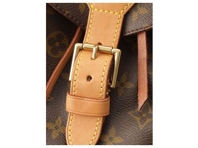 Louis Vuitton Brown Monogram Montsouris GM - vista 10