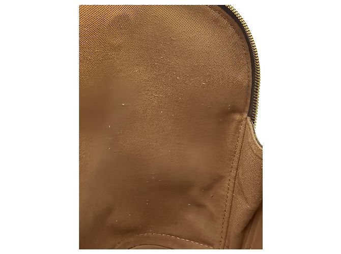 Louis Vuitton Brown Monogram Alma PM - vista 11