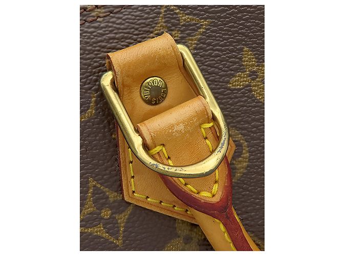 Louis Vuitton Brown Monogram Alma PM - vista 7