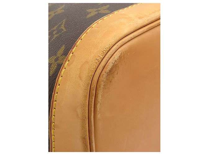 Louis Vuitton Brown Monogram Alma PM - vista 8