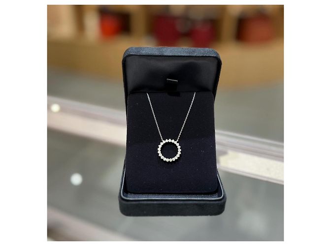 Collana Tiffany & Co. Diamond Circle in platino - vista 2