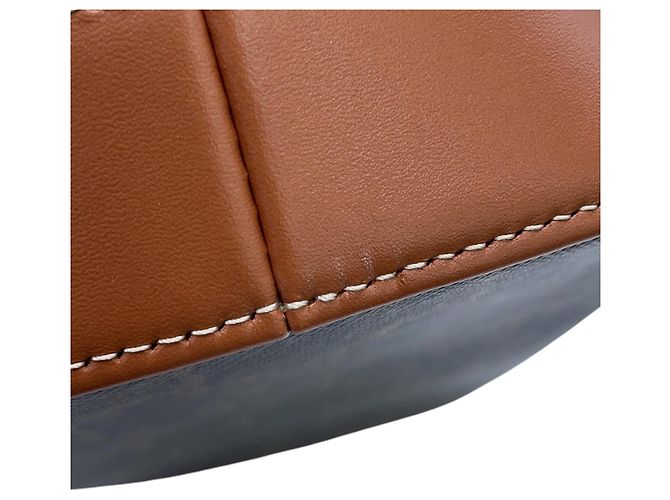 Céline Celine Triomphe Small Bucket Shoulder Bag - vista 9