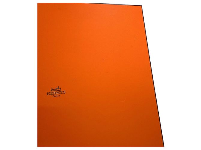 Hermès Borsa Tote Hermes in pelle Negonda Gold - vista 11