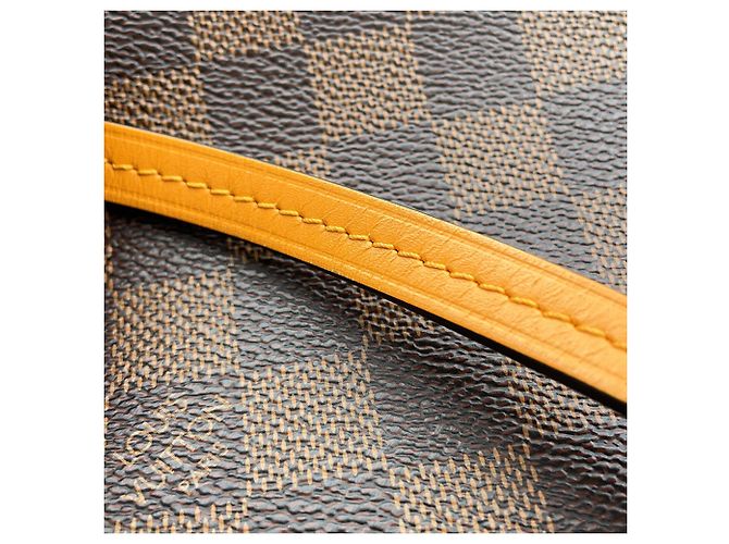 Louis Vuitton Damier Ebene Santa Monica Shoulder Pouch - vista 13