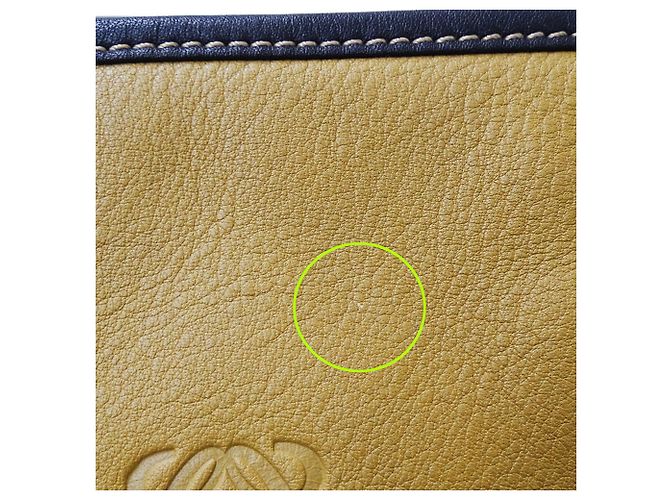 Borsa in pelle Loewe beige e verde - vista 11
