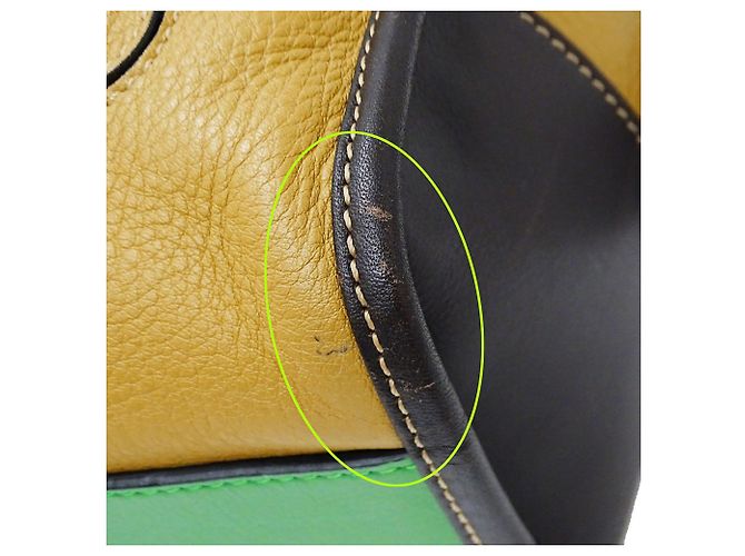 Borsa in pelle Loewe beige e verde - vista 8