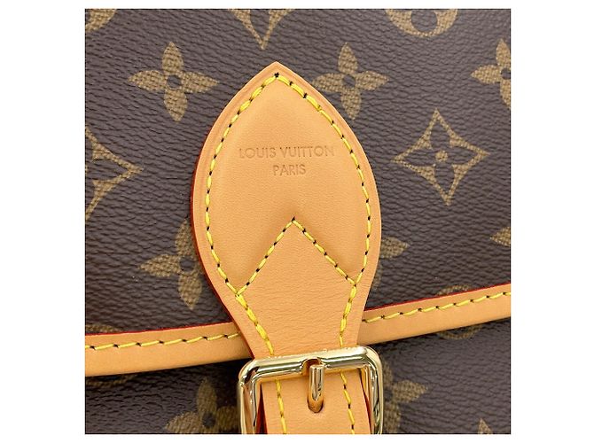 Borsa a tracolla Louis Vuitton Monogram Diane - vista 10