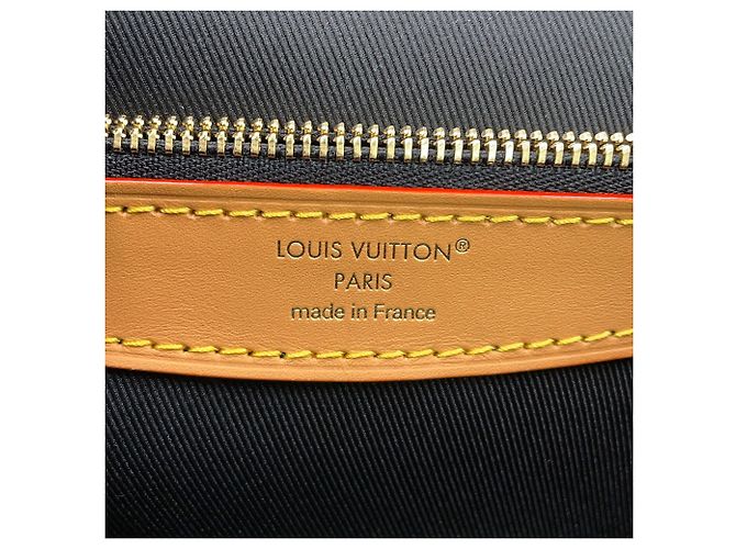 Borsa a tracolla Louis Vuitton Monogram Diane - vista 13