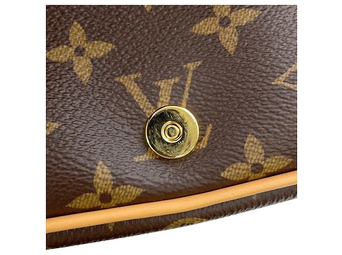 Borsa a tracolla Louis Vuitton Monogram Diane - vista 9