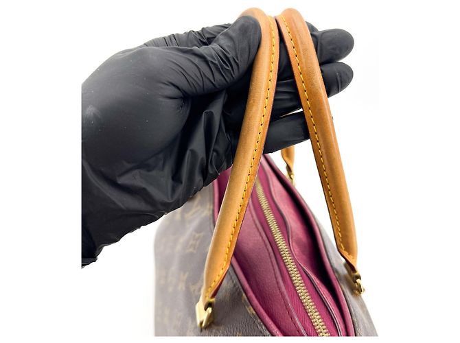 Louis Vuitton Pallas Monogram Canvas with Leather MM - vista 6