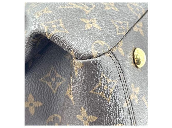 Louis Vuitton Pallas Monogram Canvas with Leather MM - vista 7