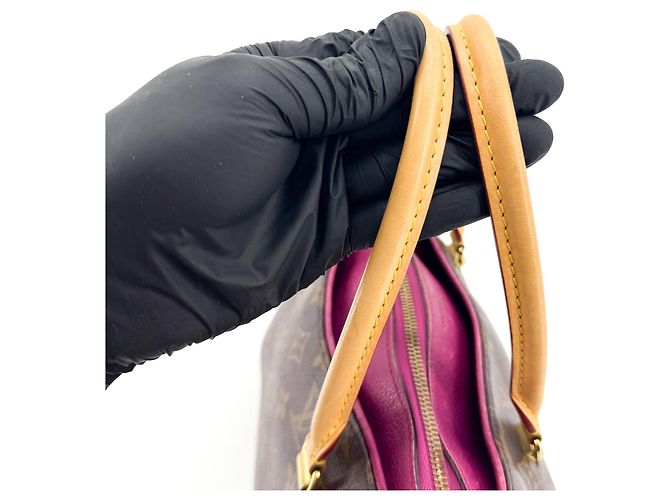 Louis Vuitton Pallas Monogram Canvas with Leather MM - vista 5