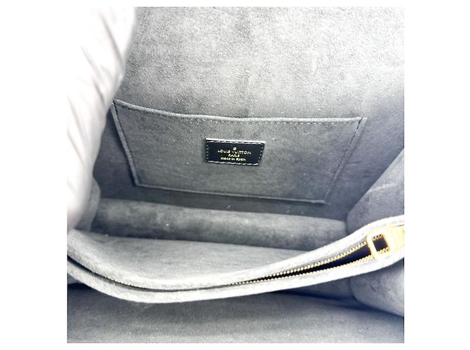Louis Vuitton Dauphine Epi Leather Mini - vista 5