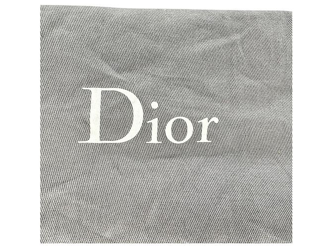 Christian Dior Python Flap Long Chain Clutch aus silbernem Leder - Ansicht 4