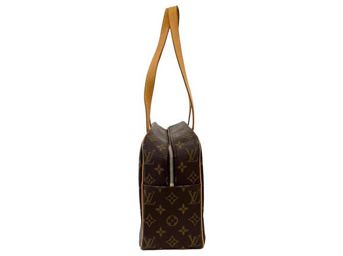 Cité Borsa a tracolla Louis Vuitton Cite GM Monogram - vista 5