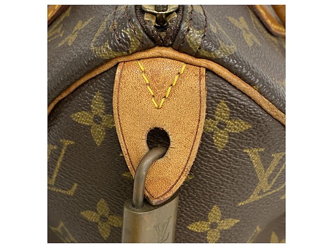 Borsa a mano Louis Vuitton Monogram Speedy 25 - vista 10