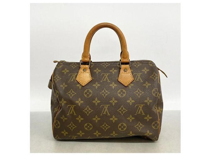 Borsa a mano Louis Vuitton Monogram Speedy 25 - vista 11