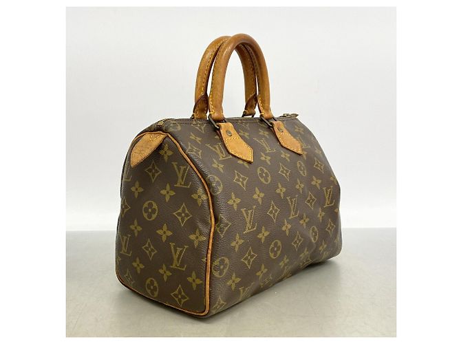 Borsa a mano Louis Vuitton Monogram Speedy 25 - vista 2