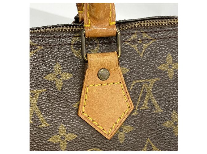 Borsa a mano Louis Vuitton Monogram Speedy 25 - vista 9
