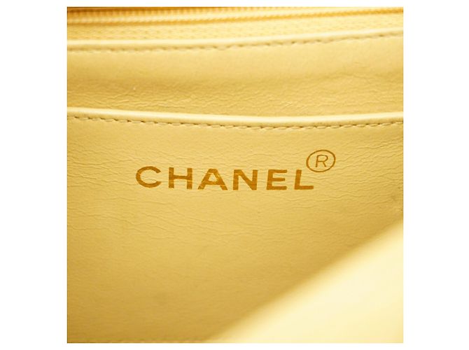 Borsa a tracolla Chanel Diana Chain - vista 5