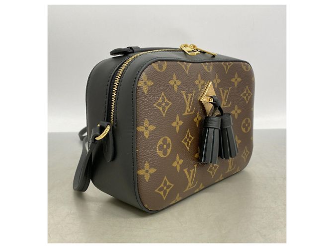 Borsa a tracolla Louis Vuitton Monogram Saint-Onge - vista 2