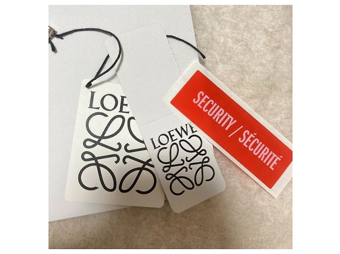 Sciarpa in mohair con patch Anagram Loewe in Off-White - vista 8
