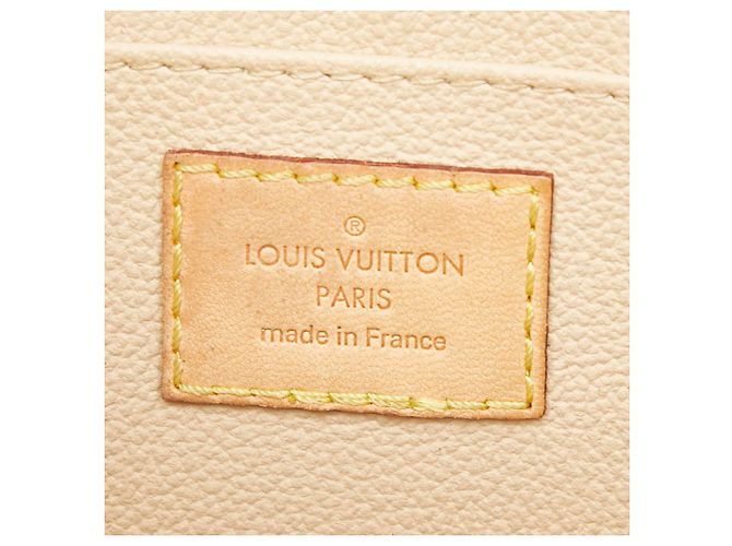 Louis Vuitton Epi Pochette Toilette 26 Clutch Bag - vista 9