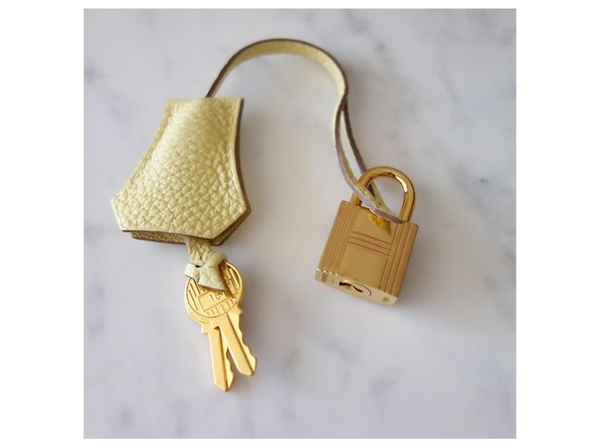 Hermès Birkin 25 Pelle Togo Giallo - vista 15