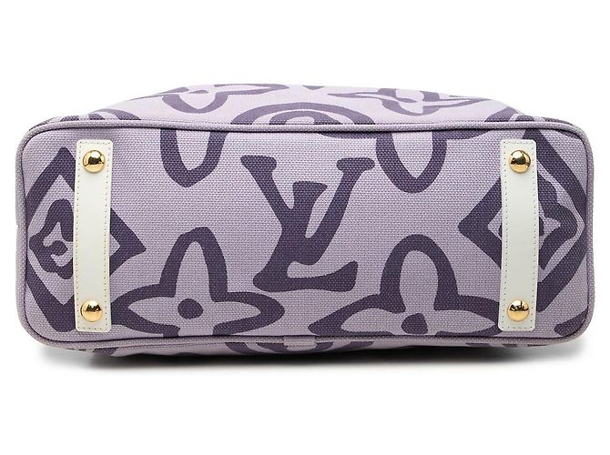 Borsa Tote Cabas PM Louis Vuitton Monogram Tahitienne Viola - vista 3