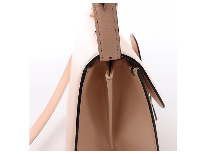 Borsa 2Way Delvaux Brillant MM in pelle Rosa - vista 7