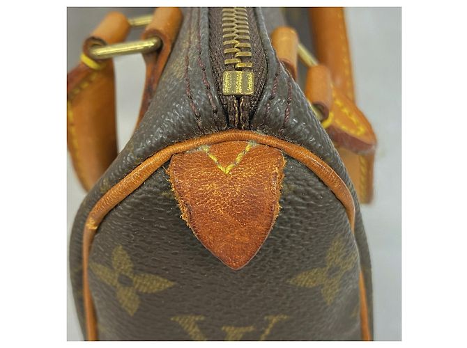 Borsa a mano Louis Vuitton Monogram Mini Speedy - vista 10