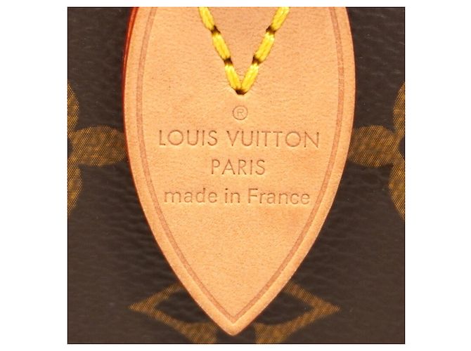 Borsa Louis Vuitton Monogram Speedy Bandoulière 20 - vista 5