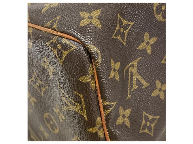 Borsa a mano Louis Vuitton Monogram Speedy 30 - vista 6