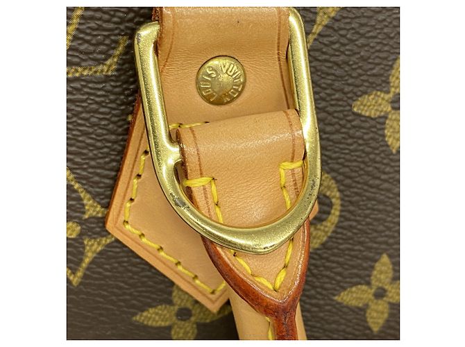Borsa Louis Vuitton Alma Monogram - vista 9