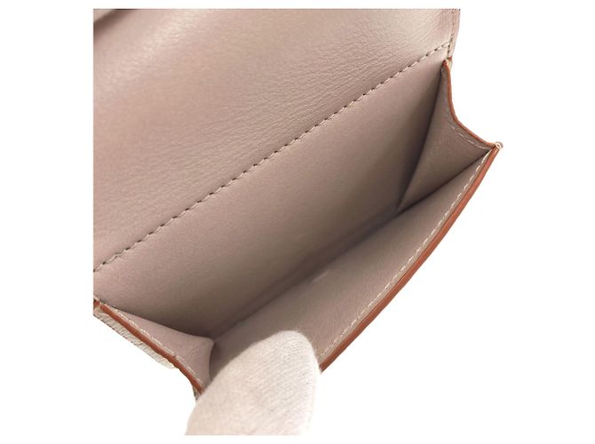 Cartera Trifold Loewe Gris Claro - vista 5