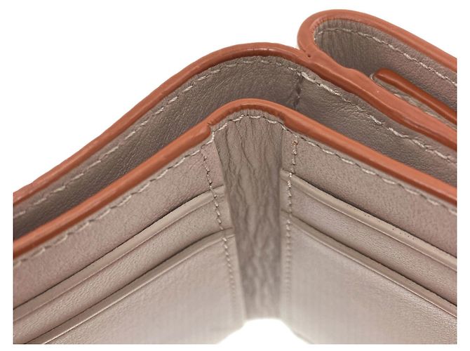 Cartera Trifold Loewe Gris Claro - vista 8