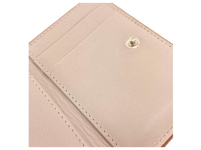 Cartera Trifold Loewe Gris Claro - vista 9