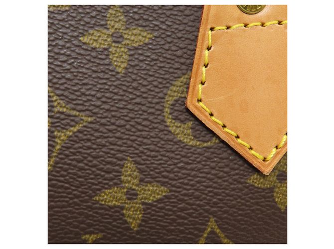 Borsa Louis Vuitton Alma - vista 10
