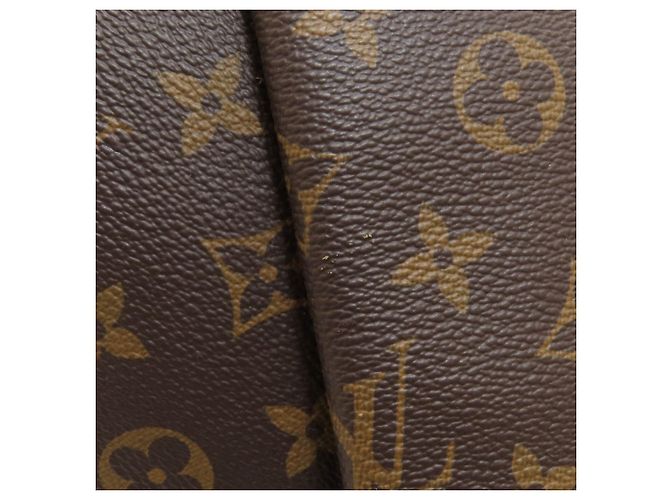 Louis Vuitton M44546 Rivoli MM Handbag - vista 12