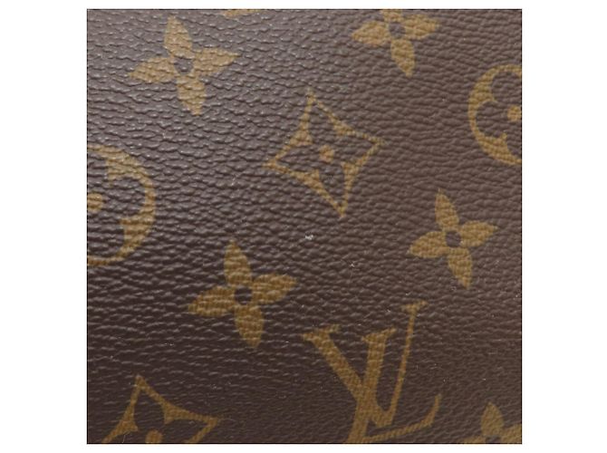 Louis Vuitton M44546 Rivoli MM Handbag - vista 14
