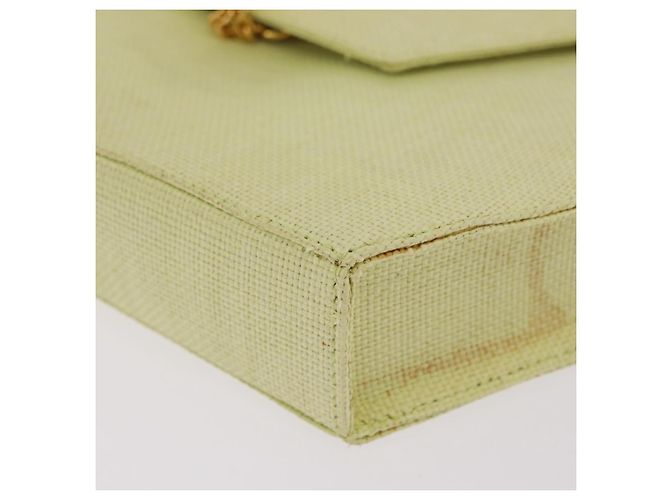 Céline CELINE Star Ball Shoulder Bag Raffia Green Gold - vista 16
