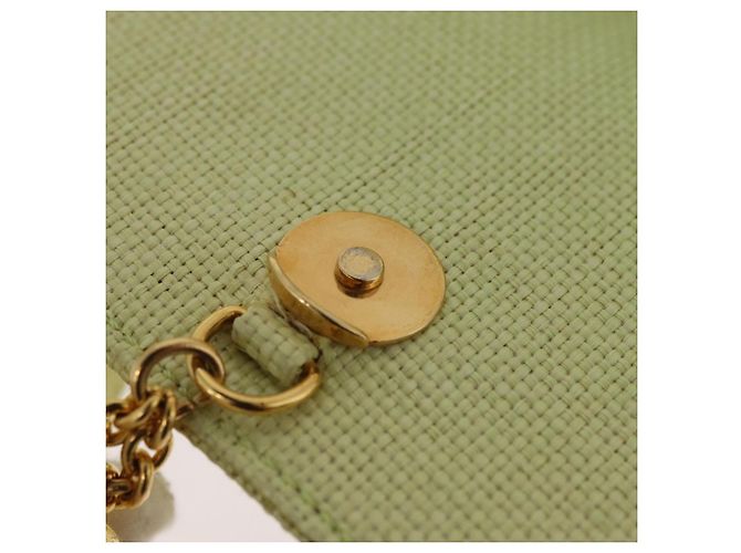 Céline CELINE Star Ball Shoulder Bag Raffia Green Gold - vista 20