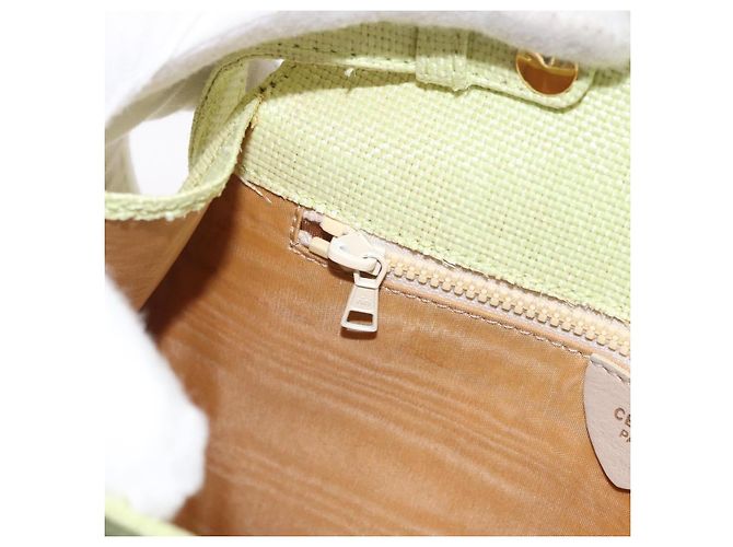 Céline CELINE Star Ball Shoulder Bag Raffia Green Gold - vista 24