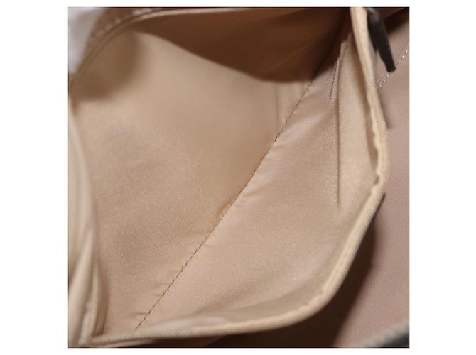 Christian Dior Trotter Canvas Hand Bag Beige Silver - vista 25