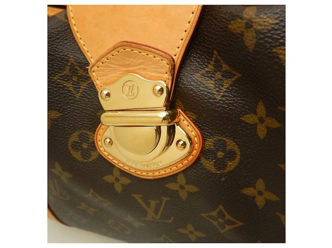 Borsa Tote Louis Vuitton Monogram Streza PM - vista 14