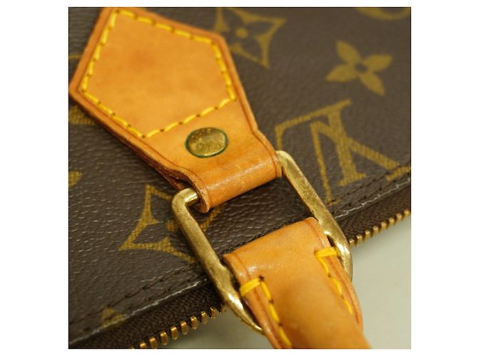 Borsa Louis Vuitton Alma Monogram - vista 10