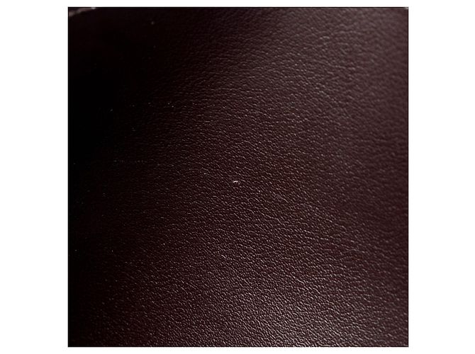 Louis Vuitton Calfskin Felicie Insert - vista 6